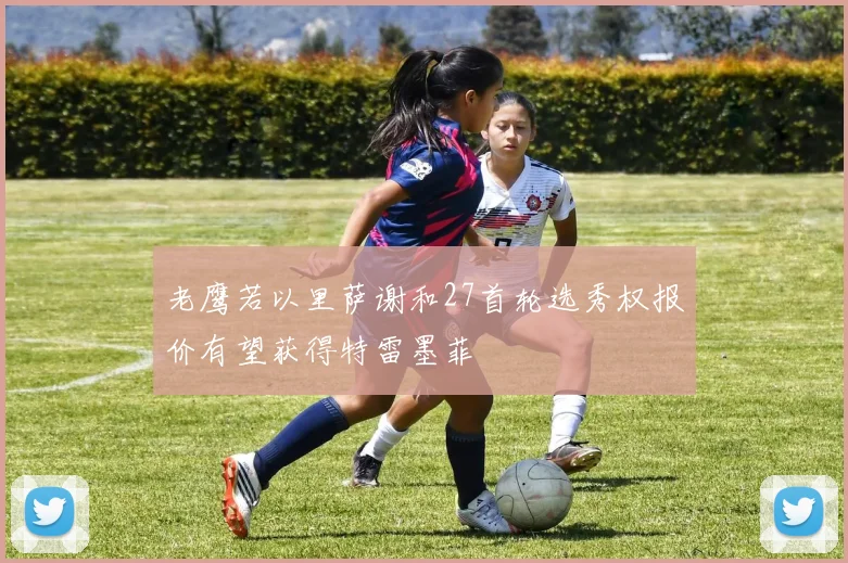 老鹰若以里萨谢和27首轮选秀权报价有望获得特雷墨菲